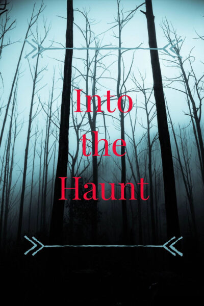 Into the Haunt (2025) 4K UltraHD